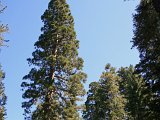 19 yosemite_028